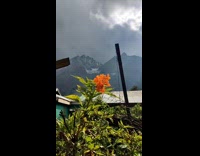 Compilation videos of beautiful view of nature