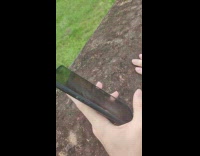 Two boys talks to professor thru phone at a park