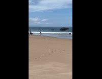 Collab IITW - Woman pink top run around the beach for a video 