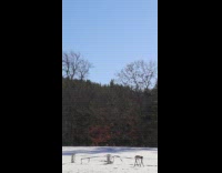 Experimented rocket tested on the field Part 3