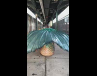 Woman dressed as mermaid with brown hat