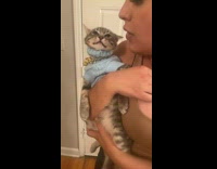 Cat is complimented told its the finest 