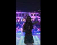 Beverly hills party all american brown dog 