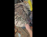 Guy shakes hands with rug blanket 