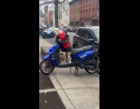 Dog stands at scooter parked on sidewalk