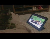Pet cat watches animal documentary in a tablet Part 2