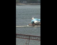 NYC inflatable pigeon floats down the river