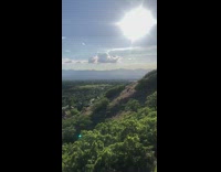 Collab DailyDoseOfInternet - Mountain view trees houses sun sky morning 