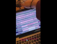 Collab Clips mpugc - White cat catch hand breaks laptop