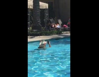 Guy spins around in pool gets dizzy