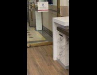 Rat in bank of america 