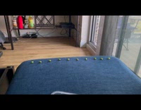 Dog eat line of edamame on couch