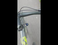 Bee ride with guy bicycle frame park 