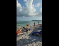 Yellow surfboard beach water trex dinosaur