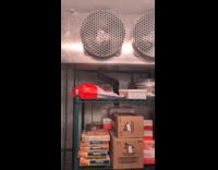 Chef singing to broken freezer