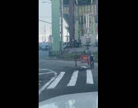 Man on bicycle transports table on shopping cart 