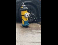 Fire hydrant painted as minion