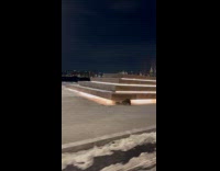 Raccoon run crawl on street night