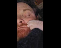 Cat suckled and knead near owners face