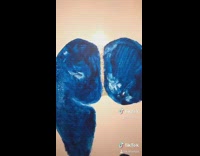 Blue paint stamp foot butt hand canvas 