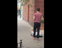 Collab winy - Brown dog white convertible toy car guy 