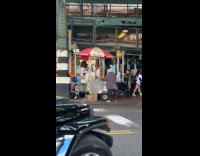 Collab WINY - Cheerleaders and animal mascot walk on street