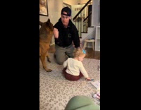 Dad and toddler dances to no hands