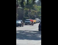 Girl black bodysuit orange butterfly wings spins