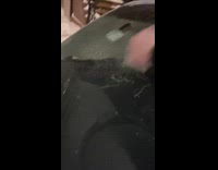 Girl uses credit card to scrape ice 