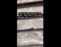 Guy walks by fake dead people steps 