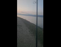 Strong wind makes creepy fishing line sound