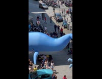 Huge blue whale float spins and knocks over little kid 