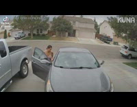 Person reverses car to ask about dog breed