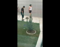 Couple walking slow and following pet tortoise 