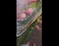 Person hold ice with salamander frozen inside