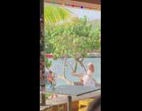 Lady sits on tree branch for photos with the ocean 