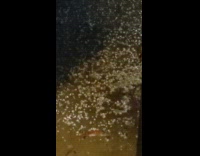 City Power went off with loud lightning strike