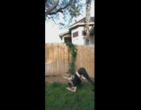 Collab Clips mpugc - Girl backyard yoga black dog poop