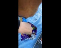 Woman feeds her horse taki 