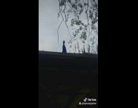 Collab BitchIG2 - Girl scolds kevin the peacock night time