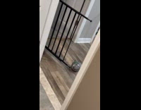 Frozen troll ball stares guy in bathroom