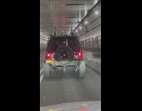 Car drives with toy dinosaurs on roof 