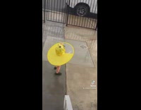 Guy using hose to make fake rain for baby