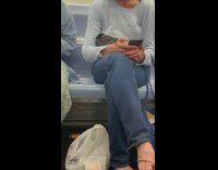 Bird sits in womans arms on train 
