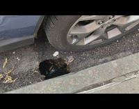 Hole found in concrete 