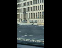 Group of geese duck birds cross street