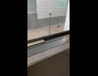 Man in green jacket break dance outside the walkway