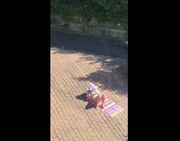 Beach towel brick ground white floppy hat