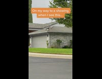 Chill husky dog hangs out on house roof in Los Angeles, California