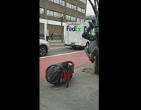 Man tree hang upside down fedex truck